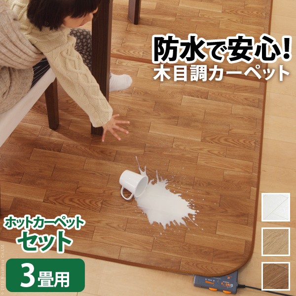 ホットカーペット カバー 防水 木目調ホットカーペット・カバー 〔ウッディ〕 3畳用(250x198) ホットカーペット本体 2点セット セット ラグ リビングマット フローリング調 クッション性 抗菌 防カビ 防汚 防水 日本製 床暖房 ペット 子供