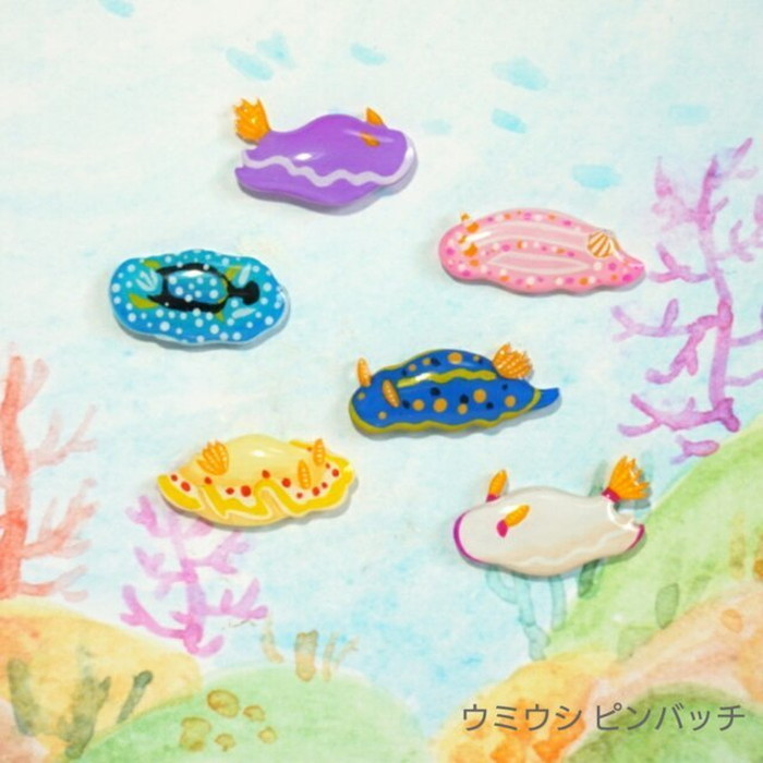 楽天市場 ウミウシピンバッチ 2個 ウミウシ ピンバッチ 画鋲 押しピン 海の生き物 留め具 蝶タック 可愛い カラフル 日本製 ナチュラル プチギフト ギフト 透明屋パク