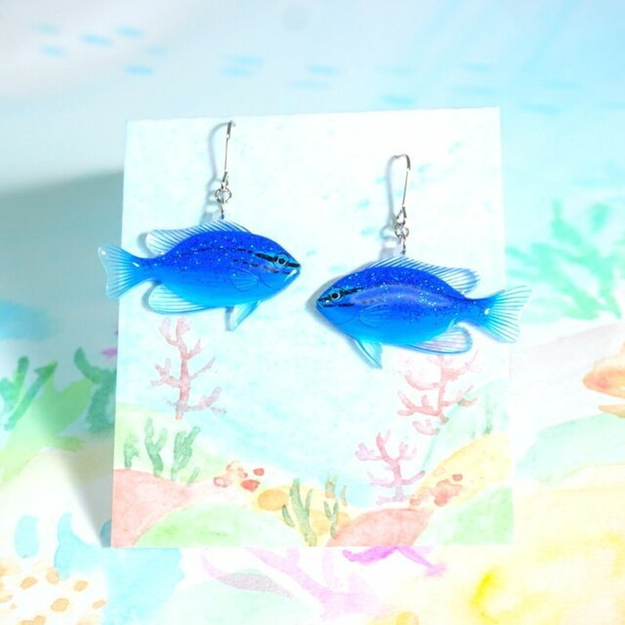 楽天市場 ルリスズメダイ ピアス イヤリング 海の生き物 熱帯魚 魚 かわいい おしゃれ キラキラ ハンドメイド レディース 留め具 魚のアクセサリー アクセサリー 透明屋パク