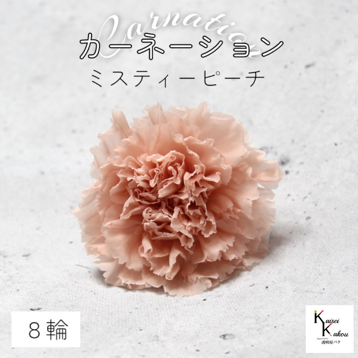 楽天市場】大地農園！ プリザーブドフラワー 「カーネーション