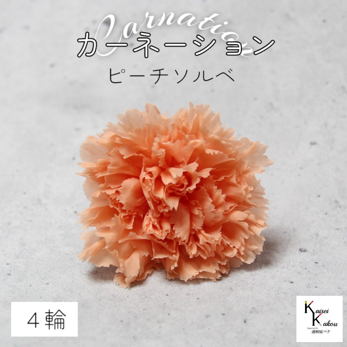 楽天市場】大地農園！ プリザーブドフラワー 「カーネーション