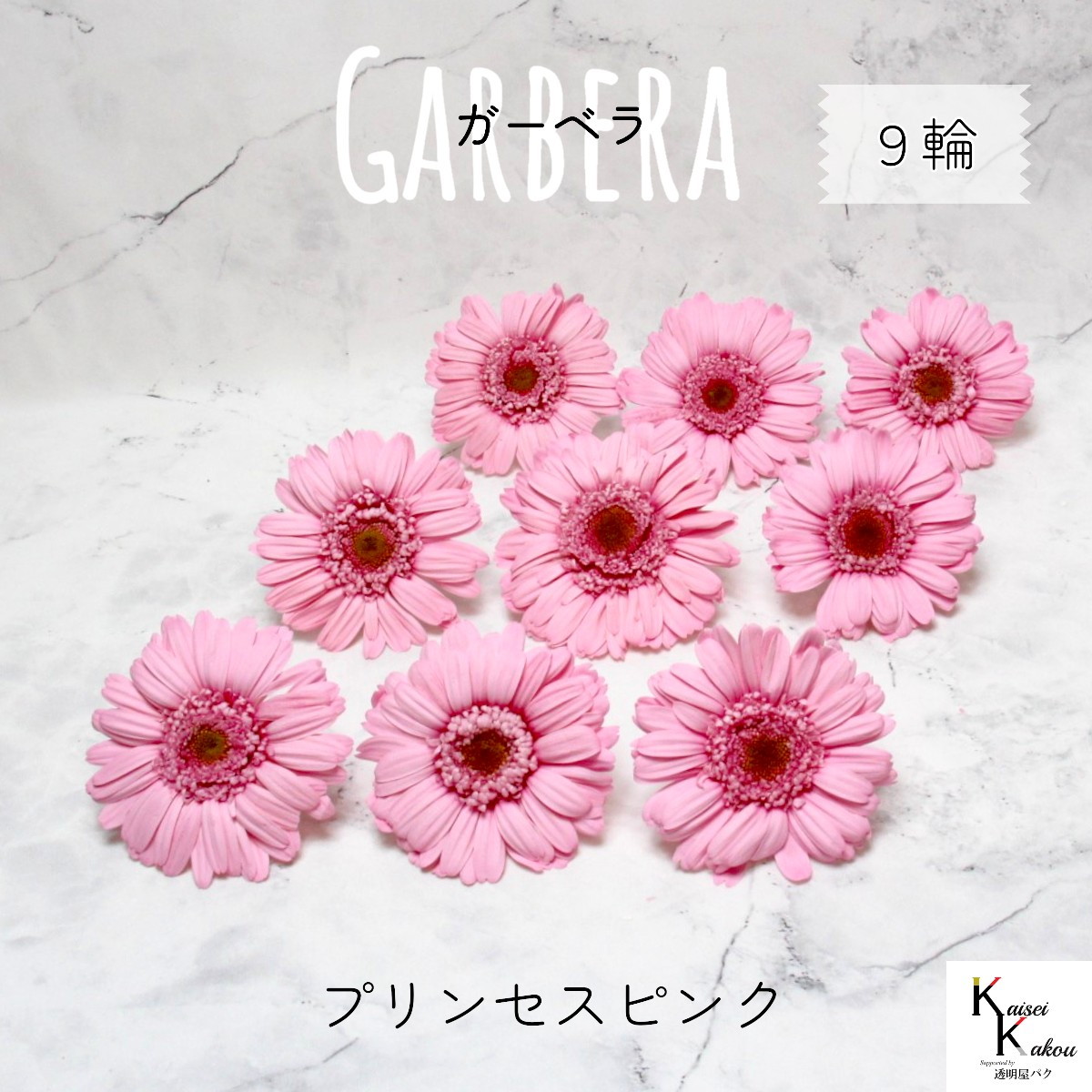 楽天市場】大地農園！プリザーブドフラワー 「ガーベラ レッド 3輪