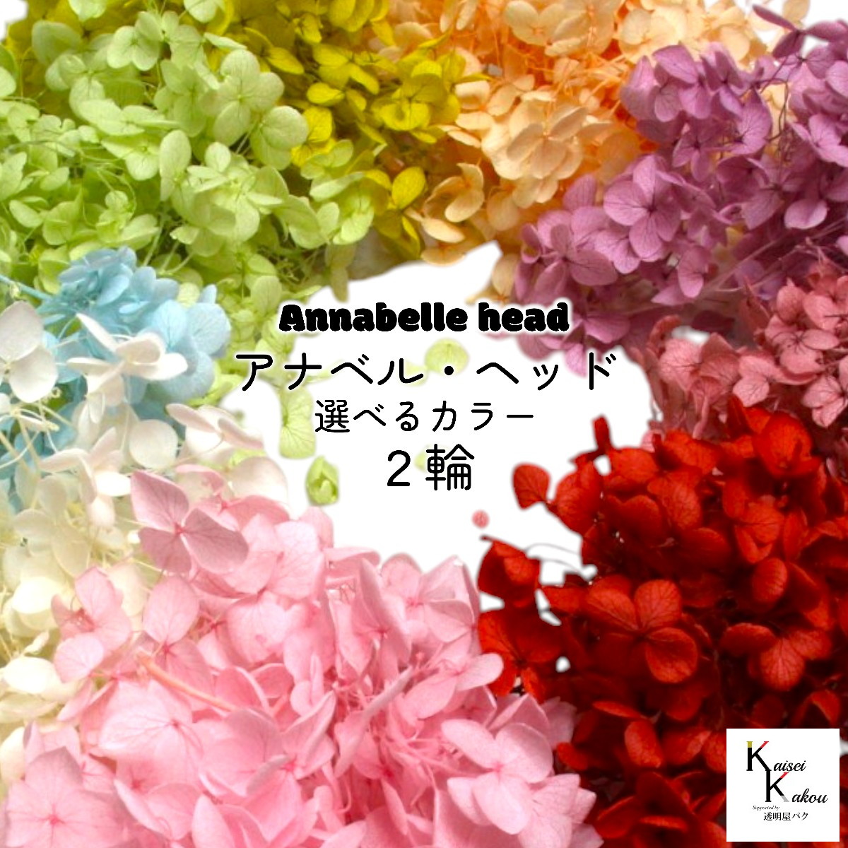 楽天市場】大地農園 プリザーブドフラワー アジサイ 全22色 1輪分