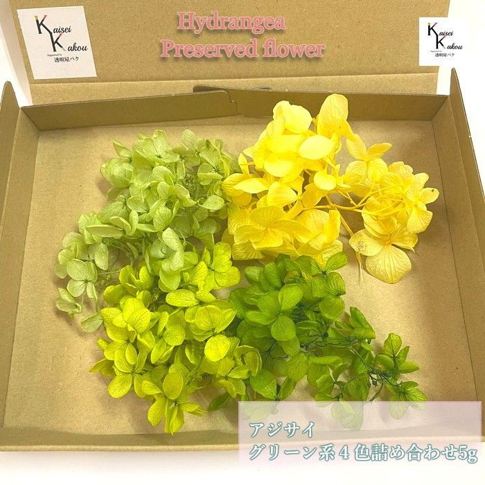 楽天市場】プリザーブド 花材 アジサイ 小分け 17色 詰合せ 紫陽花