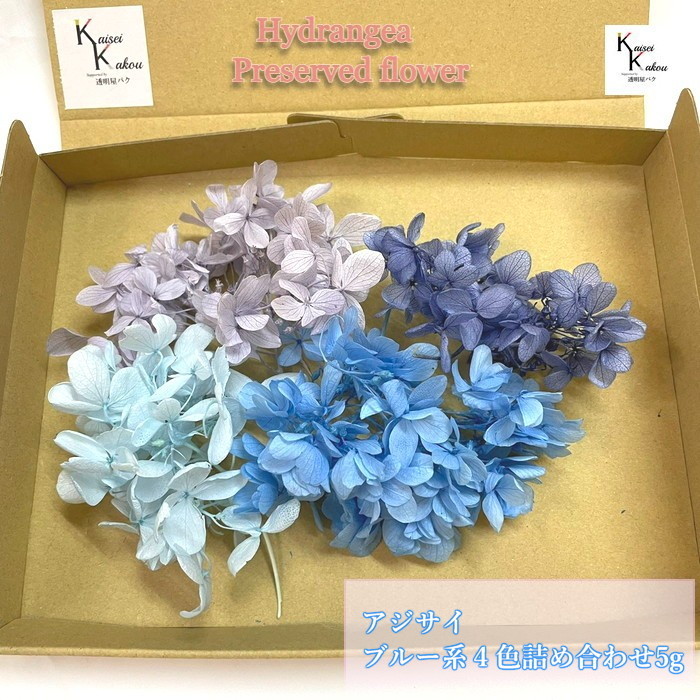 楽天市場】プリザーブド 花材 アジサイ 小分け 17色 詰合せ 紫陽花