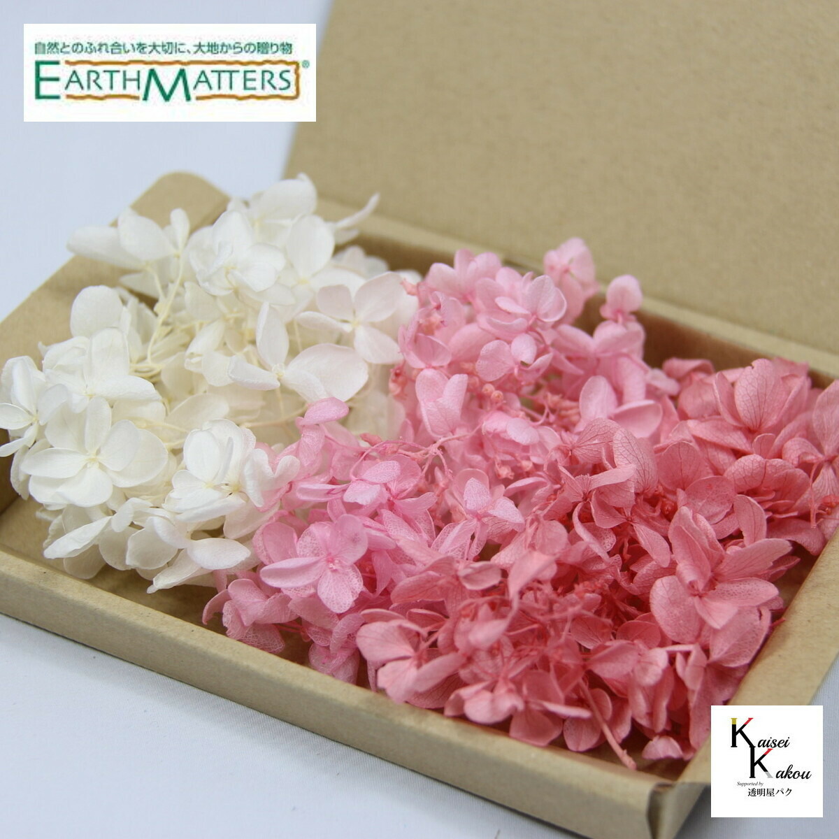 楽天市場】大地農園 プリザーブドフラワー アジサイ 全22色 1輪分