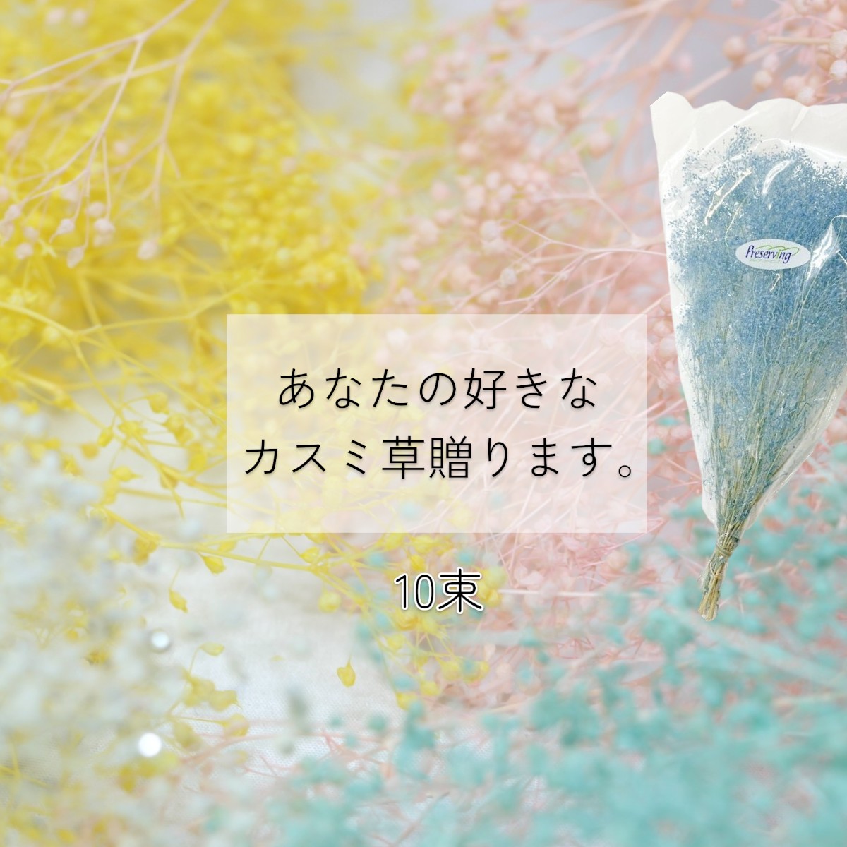 大地農園 「あなたの好きなカスミ草10束分贈ります」 プリザーブドフラワー 詰め合わせ kasumi カスミ草 花材 ハーバリウム　フラワー資材　フラワーアレンジ