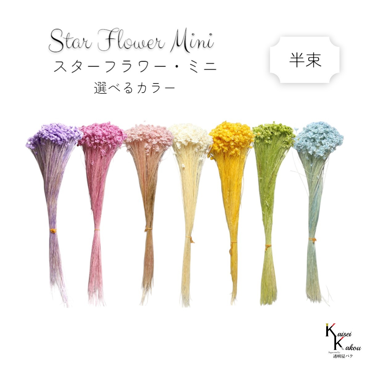 楽天市場】ドライフラワー 花材 とりよせ品 マルセラ ドライ 花材 素材 