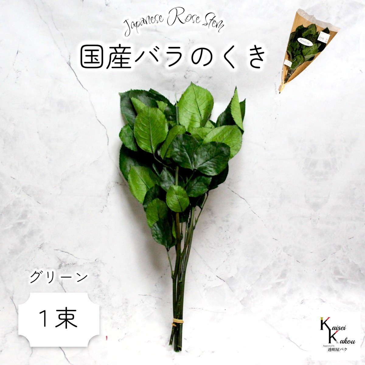 【楽天市場】大地農園！プリザーブドフラワー 「国産バラのくき グリーン 1束(5本)」 バラ用ステム プリザ 花材 ハーバリウム 国産バラ ...