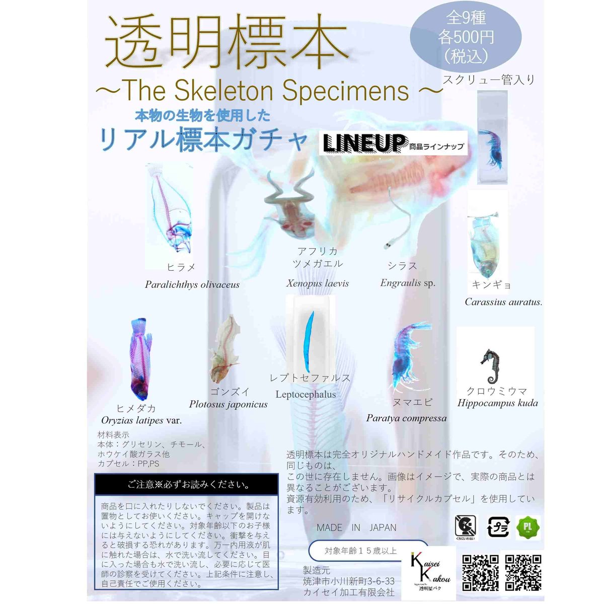 楽天市場】「ガチャガチャ 透明標本 カプセルインの状態でお届け