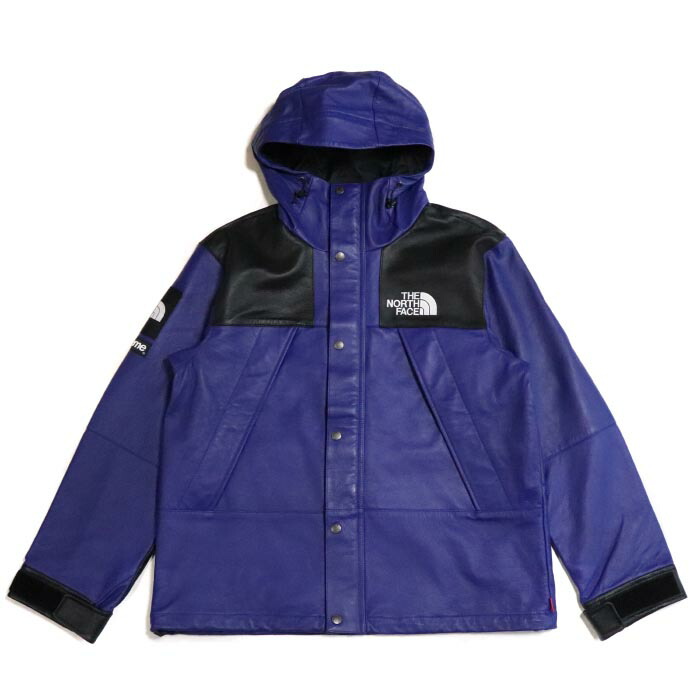 supreme north face leather mountain parka