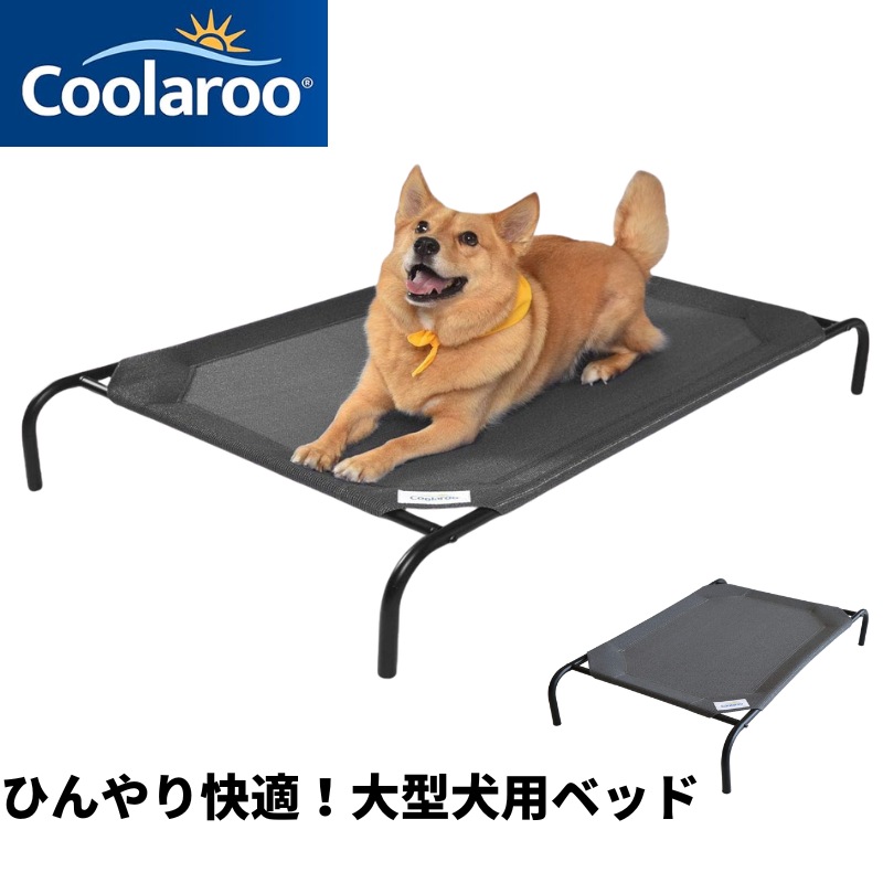OWALA ×キャラコ科学研究所吸い筒 スターウォーズ・ハリーポッター・ディズニーなど！