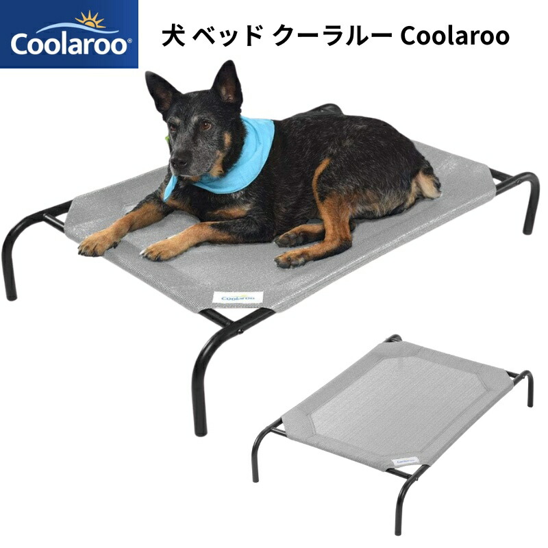 OWALA ×キャラコ科学研究所吸い筒 スターウォーズ・ハリーポッター・ディズニーなど！