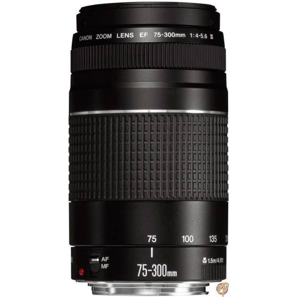 楽天市場】【4/25限定!555円クーポン】SIGMA 超広角ズームレンズ