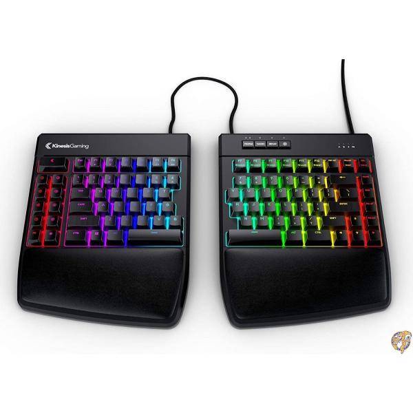 楽天市場】【10日26時間1000円クーポン20名様】Kinesis