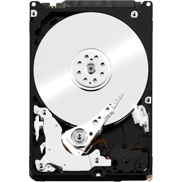 【クーポン配信中】WD10JFCX 送料無料|パームスアメリカ