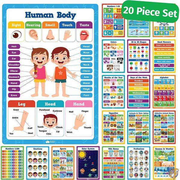 【クーポン配信中】教室教育ポスター 20枚 未就学児 幼児 幼稚園 小学校 - 16インチ x 11インチ 幼児向け学習ポスター 壁 7,461円