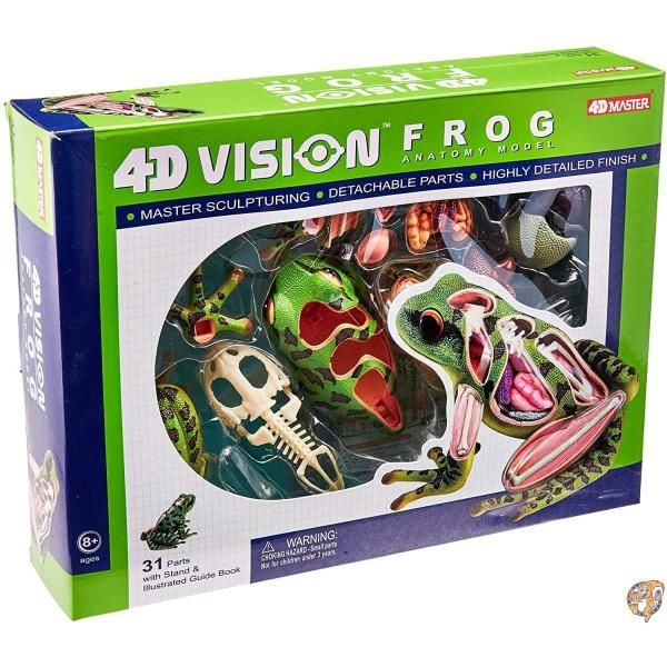【ポイント2倍!15日】立体パズル 4D VISION 動物解剖 カエル解剖モデル [並行輸入品] 送料無料
