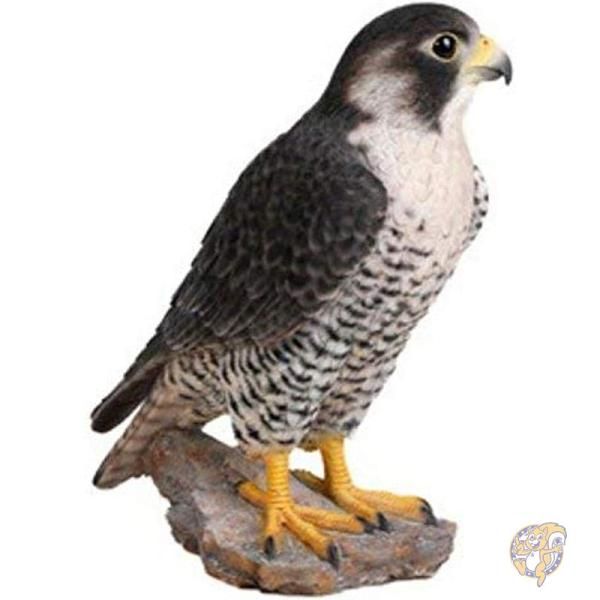 楽天市場】ハヤブサ / mojo 動物 鳥 フィギュア : 3D・恐竜・おもちゃ