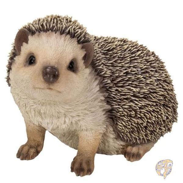 楽天市場】雑貨 置物 フィギュア：ハリネズミ B*hedgehog はりねずみ