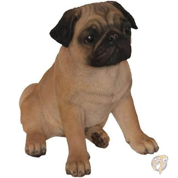 楽天市場】Meissen マイセン パグ フィギュリン 箱付き 陶器 置物 人形