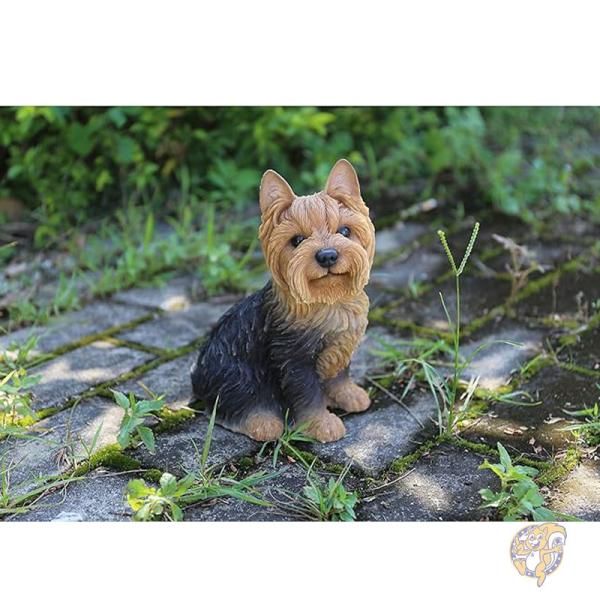 楽天市場】犬の置物 ヨークシャーテリア お座り ヨーキー ワンちゃん