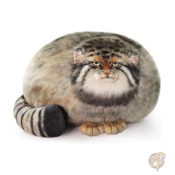 【25日最大4000円クーポン】猫 ぬいぐるみ抱き枕 45cm キャット ぬいぐるみ おもちゃ CSPTP3001 Sew Butiful|パームスアメリカ