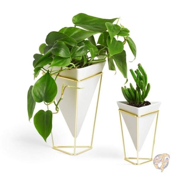 【クーポン配信中】アンブラ デスク収納 植木ばち ２セット並行輸入 送料無料