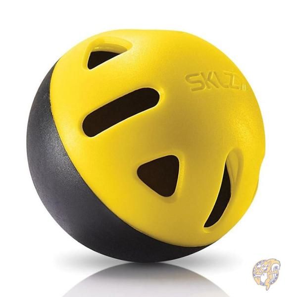 【クーポン配信中】野球 練習用 ソフトボール ミニボール インパクト トレーニング 1723 SKLZ スケルツ｜パームスアメリカ