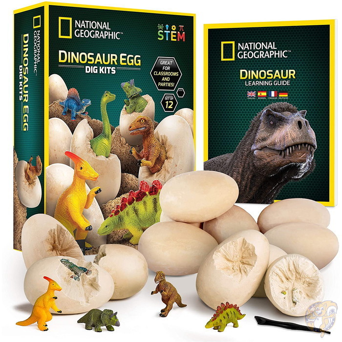 ナショナル ジオグラフィック NATIONAL GEOGRAPHIC 恐竜発掘セット 12個 発掘ツール12個 送料無料