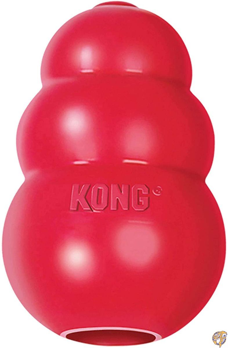 KONG クラシック（Mサイズ）
