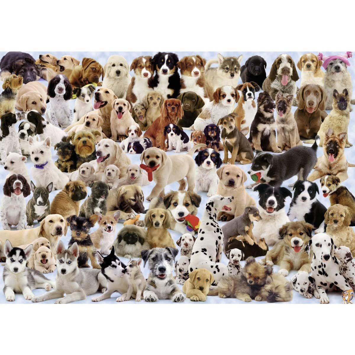 【クーポン配信中】1000ピース ジグソーパズル 犬のコラージュ Hunde Collage (70 x 50 cm) 送料無料｜パームスアメリカ