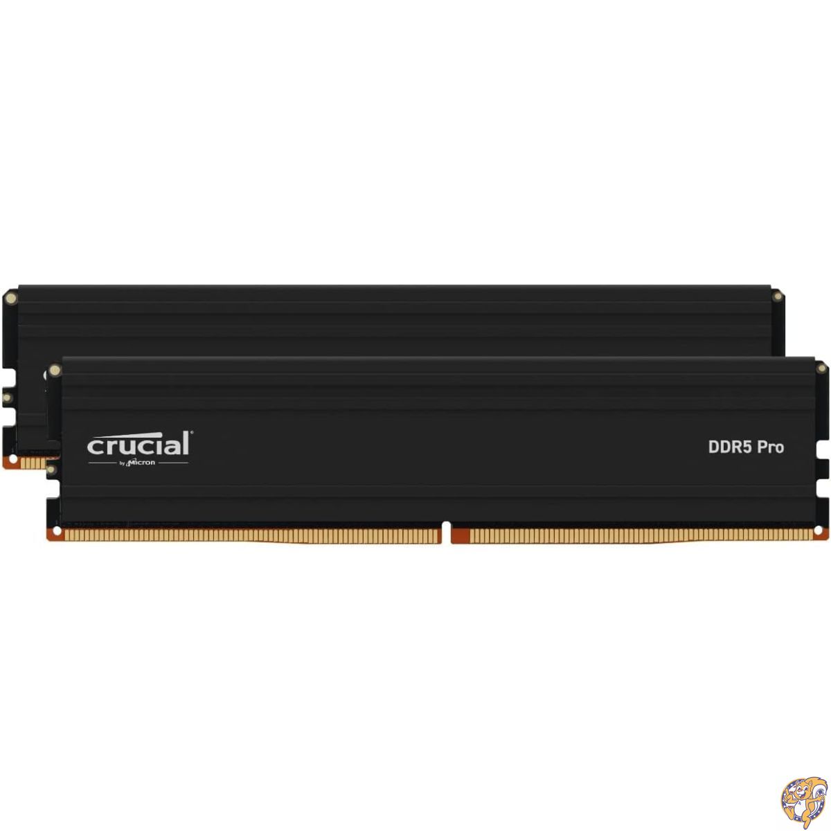 楽天市場】crucial デスクトップ用増設メモリ 64GB(32GBx2枚