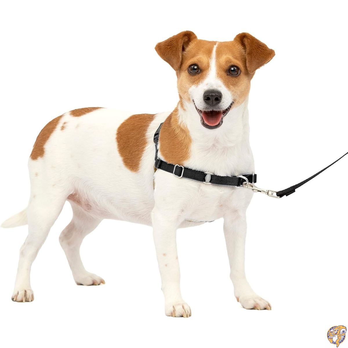 PetSafe イージーウォークハーネス (S, ブラック＆シルバー)