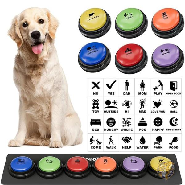 楽天市場】【先着55名様!全品555円クーポン配信中】犬用