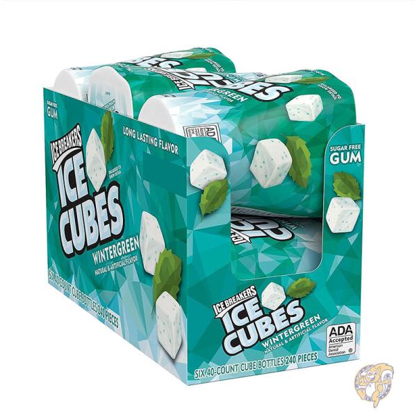 【クーポン配信中】ICE BREAKERS アイスブレーカー アイスキューブ ウィンターグリーン シュガーフリー ガム ボトル 91g 6個 40粒入り