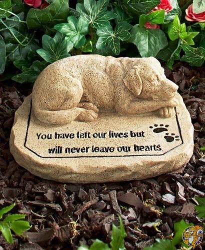 【クーポン配信中】ペット メモリアル グッズ 犬 お墓 墓石 You have left our lives but will never leave hearts [並行輸入品]