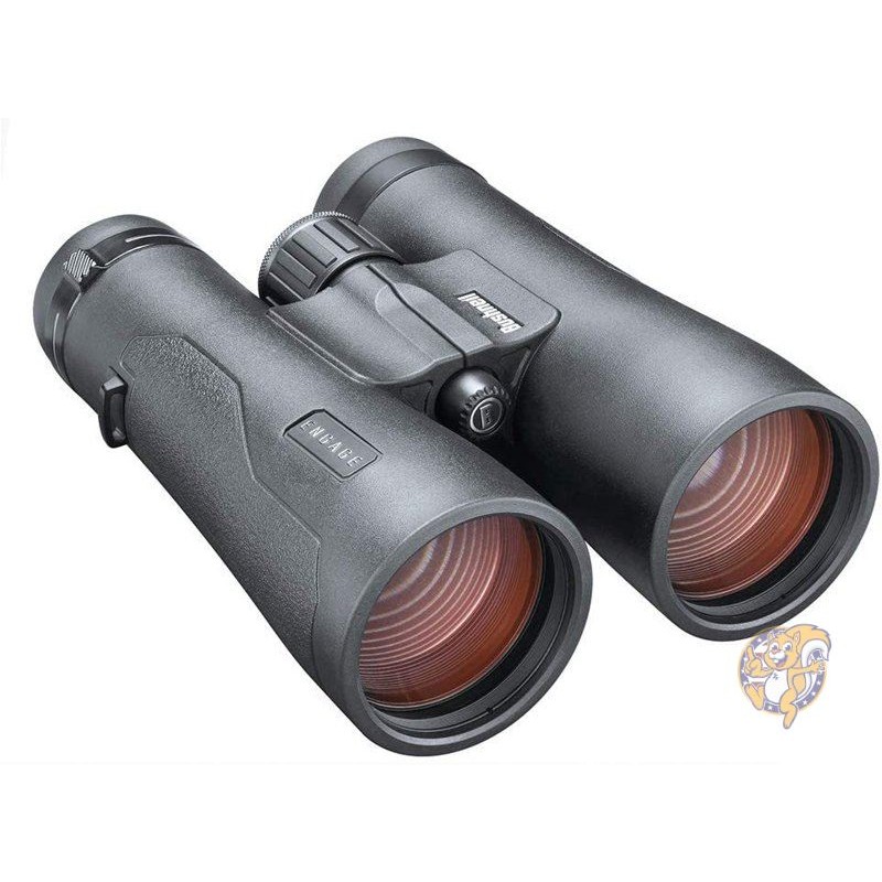 【クーポン配信中】ブッシュネル エンゲージDX ビノキュラー Bushnell 12x50mm 双眼鏡 ブラック 送料無料
