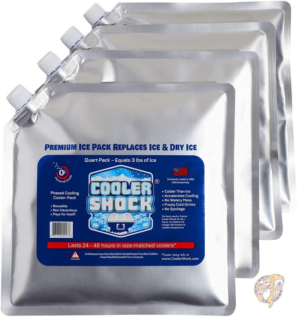 【クーポン配信中】クーラーショック リユーザブルアイスパック Cooler Shock 再利用可能な保冷剤 送料無料