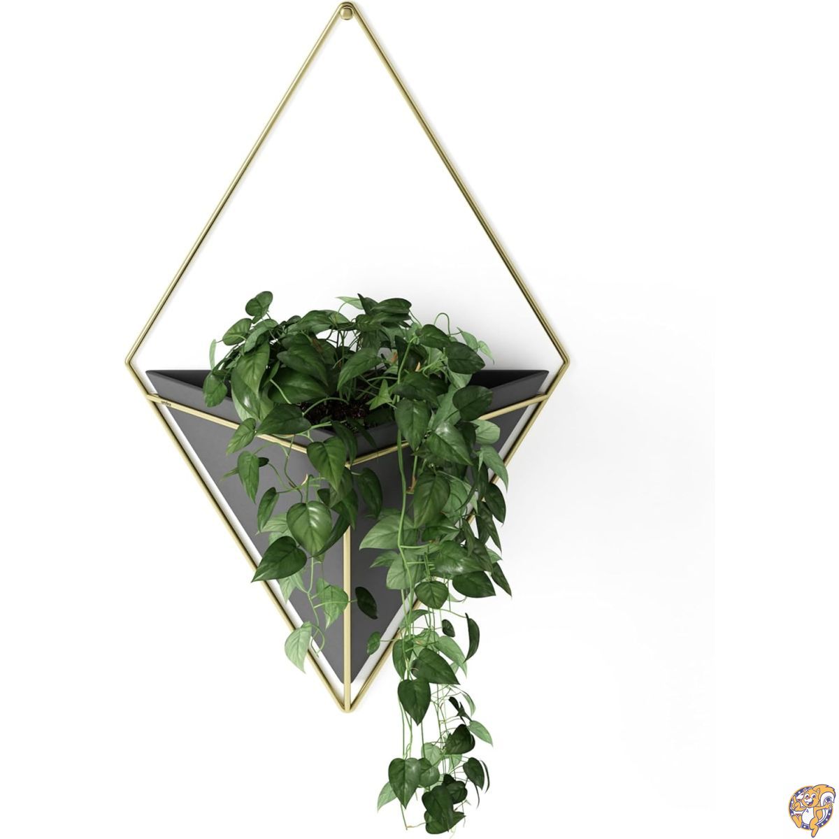 【クーポン配信中】umbra 花器 植木鉢 鉢植え用 プランター 吊り下げ インテリア ブラック W22×D10.2×H39cm トリッグ L 24707521137
