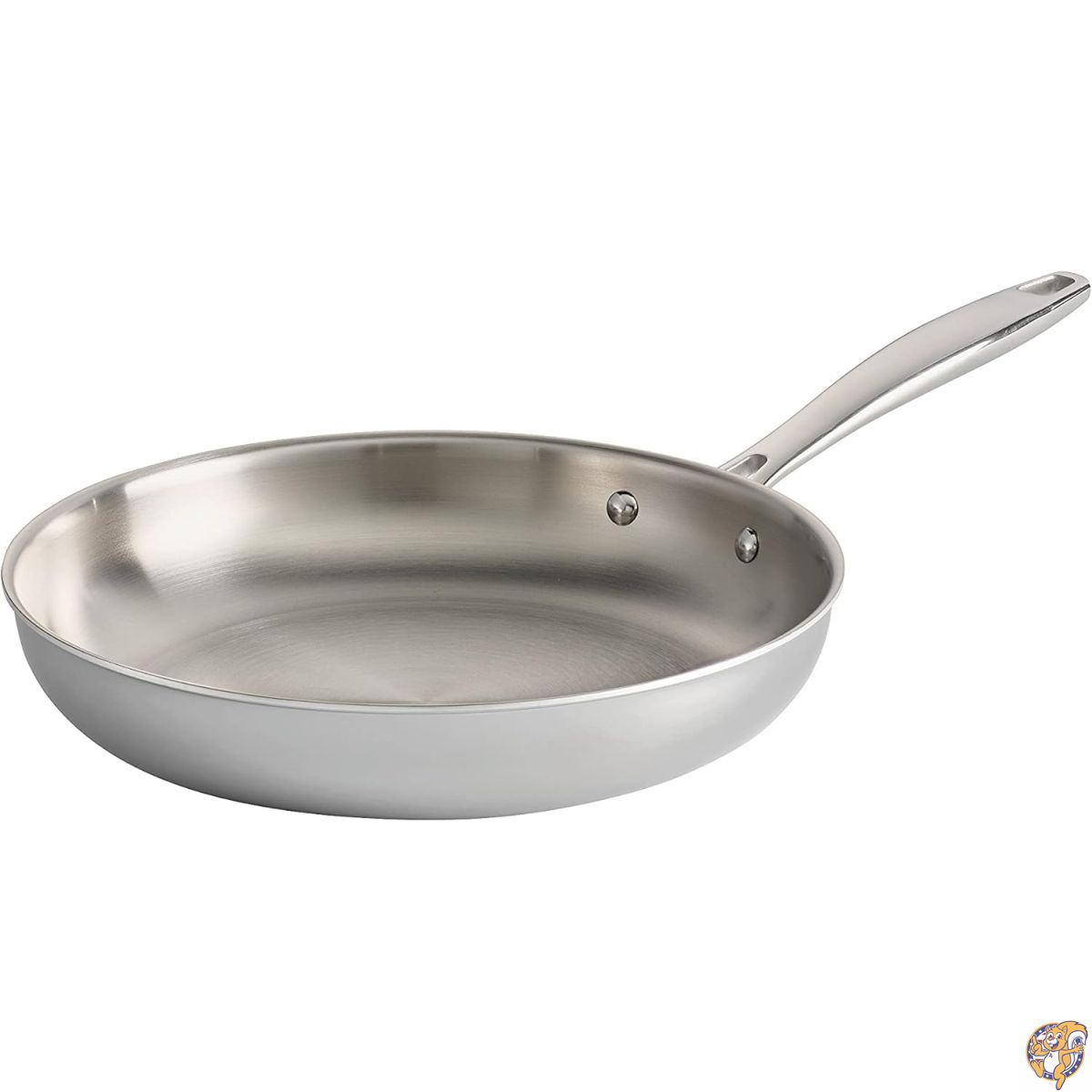 Gourmet Fry Pan - 10 in