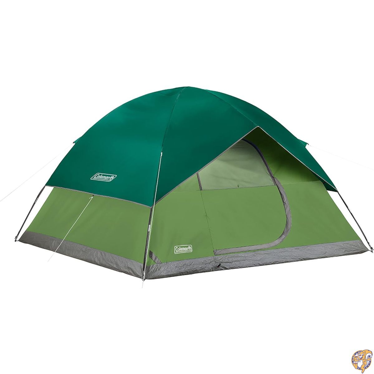 Coleman Sundome 6人用キャンプテント