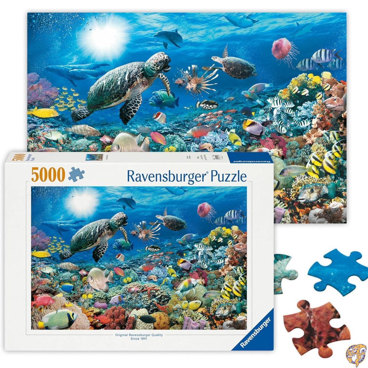 【クーポン配信中】5000ピース ジグソーパズル サンゴ礁での生活 Leben im Korallenriff (153 x 101 cm) [並行輸入品]