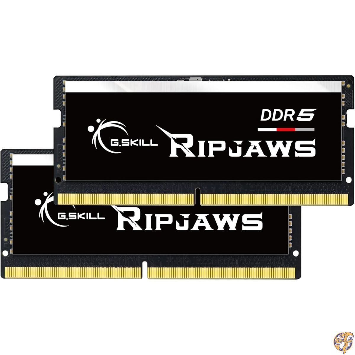 楽天市場】Fanxiang DDR5 64GB(2x32GB)5600MHz RAM ノートPC用メモリ