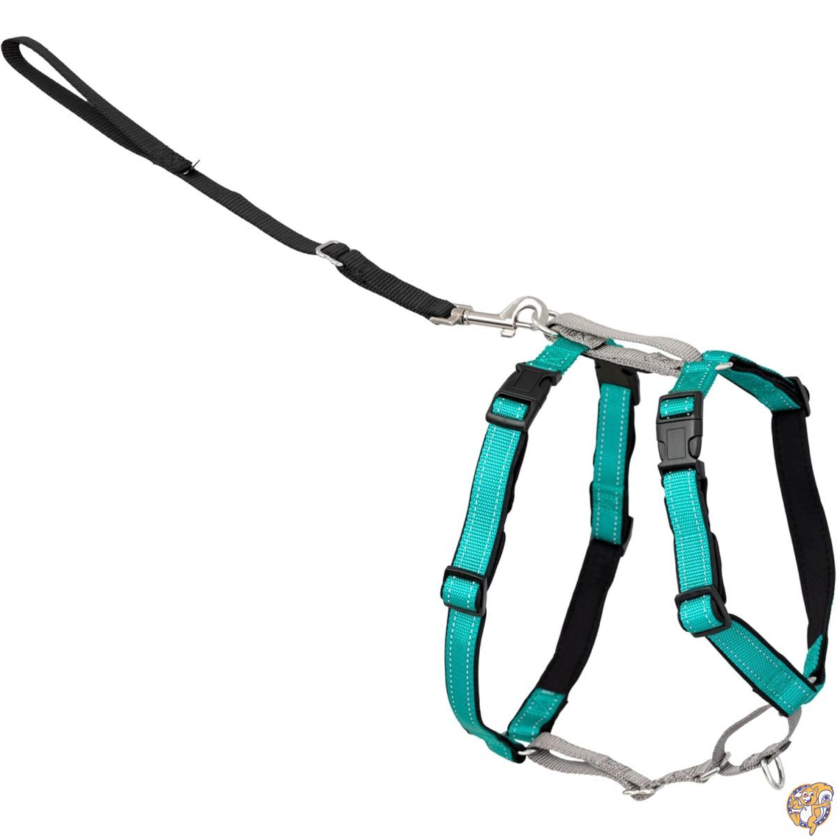 PetSafe（ペットセーフ） 犬用ハーネス 3in1ハーネス ティール（グリーン） XSサイズ