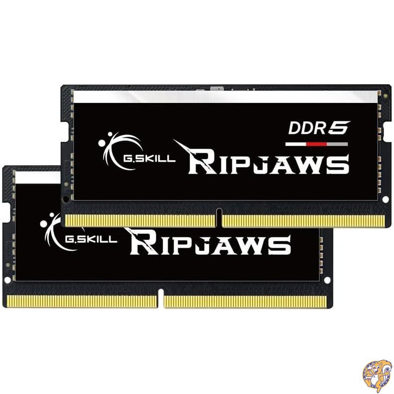 楽天市場】Fanxiang DDR5 64GB(2x32GB)5600MHz RAM ノートPC用メモリ