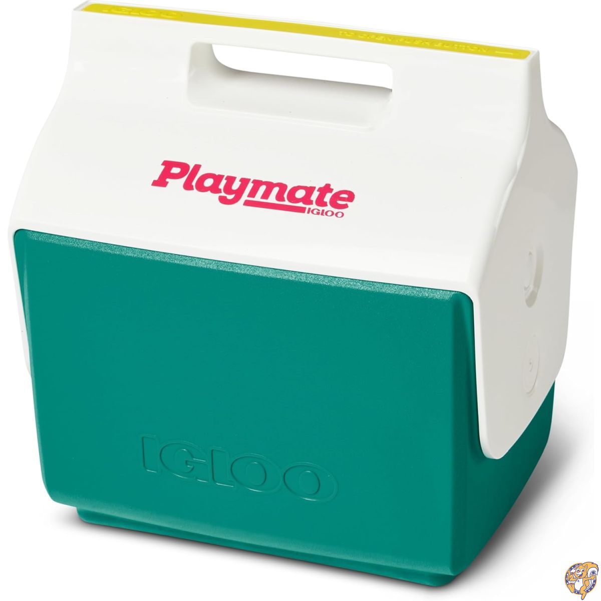 Igloo 4クォート Playmate ミニハードサイドランチボックスクーラー ジェイド
