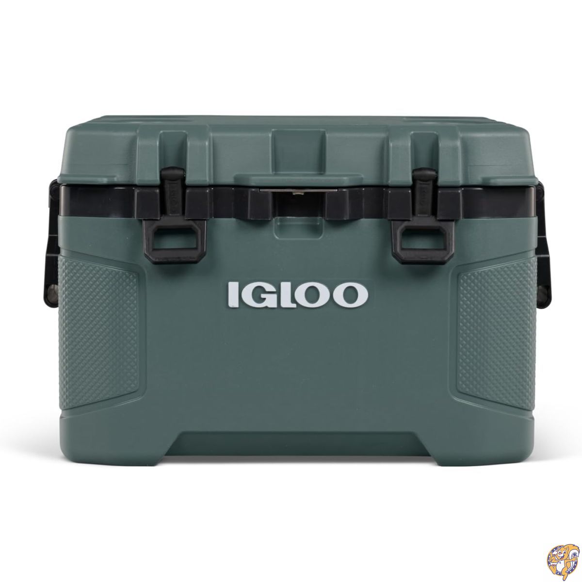 【ポイント2倍!15日】Igloo Trailmate 50クォート クーラー スプルス