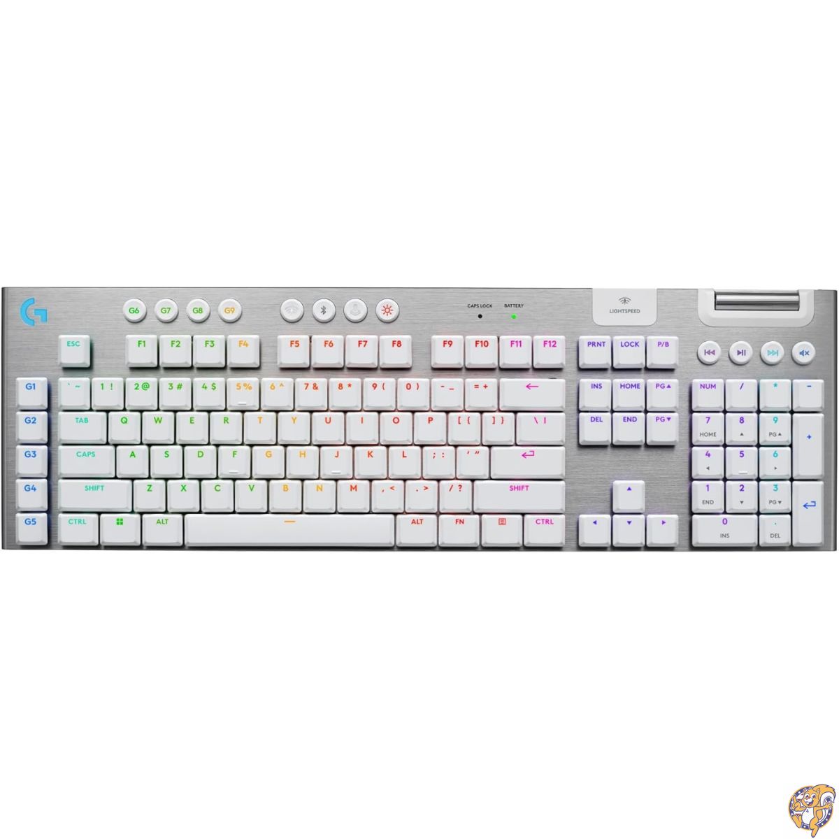 クーポン券配達中 | 日本未発売の亜米利加グッズをお得にGET！！