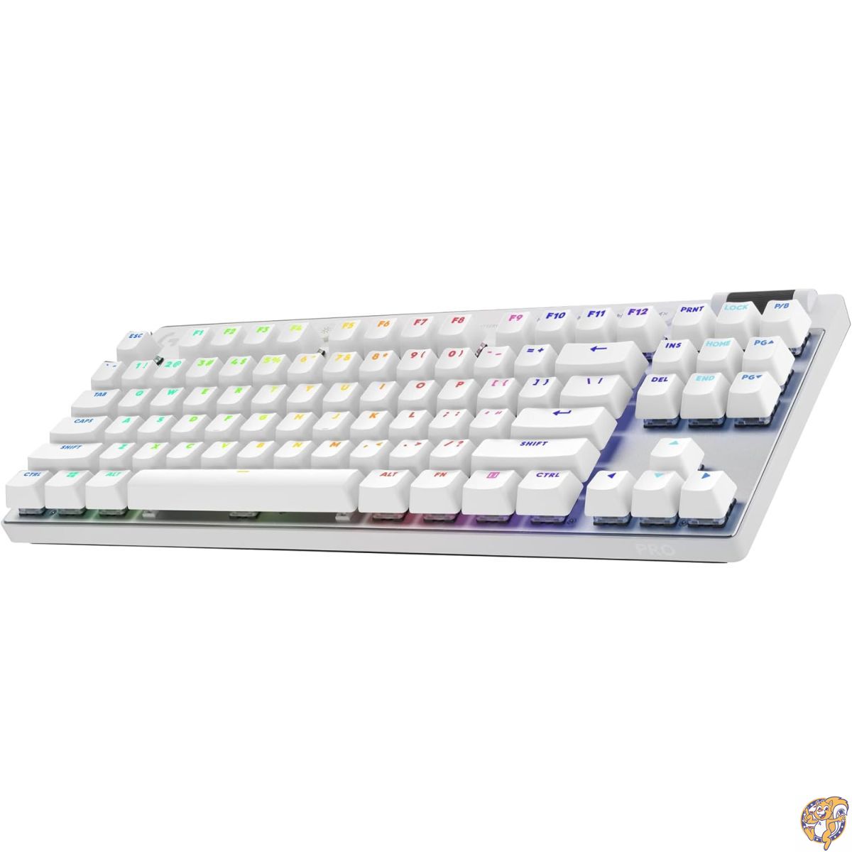 クーポン券配達中 | 日本未発売の亜米利加グッズをお得にGET！！